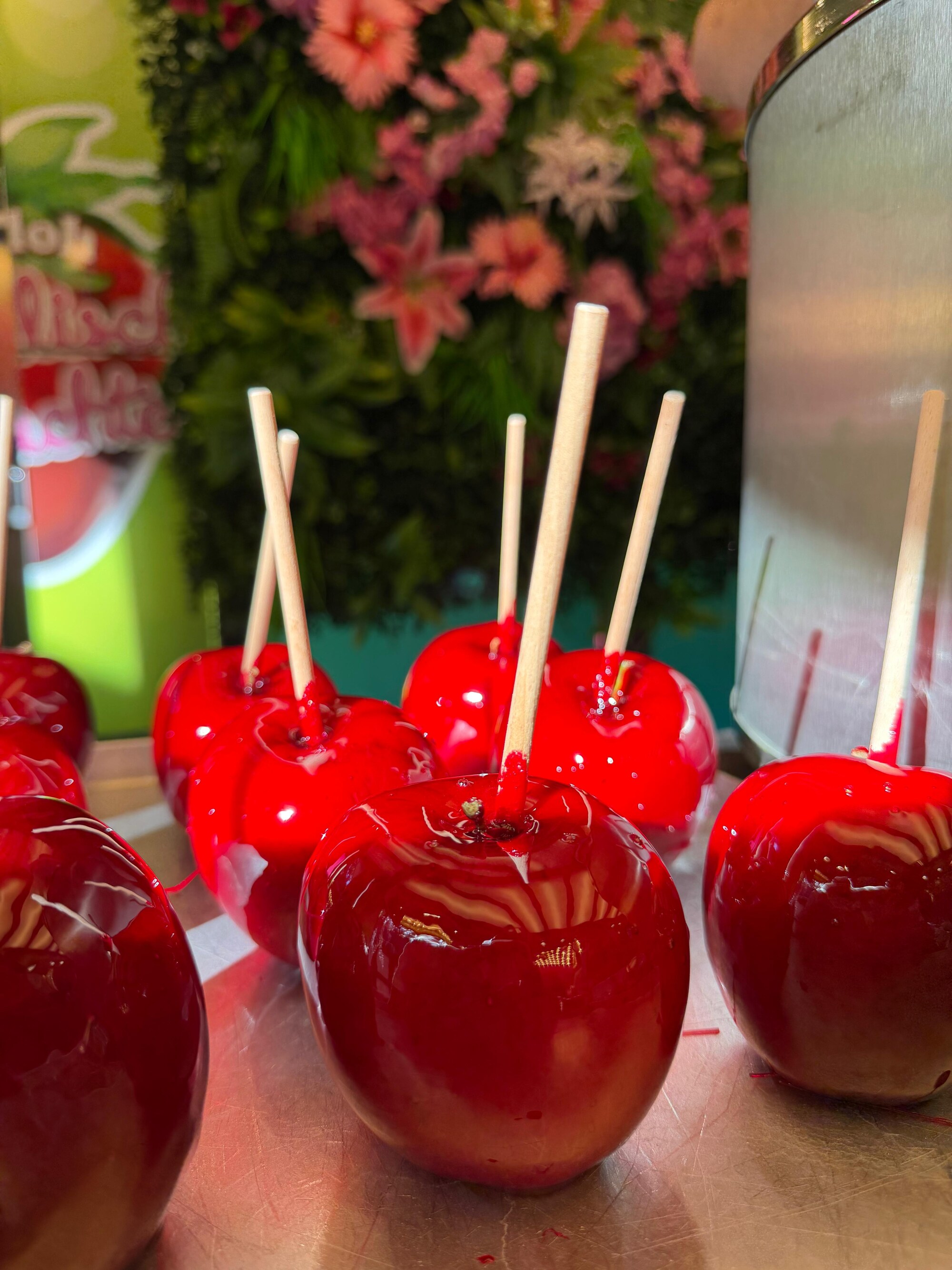 Schoko-Liebesapfel – frisch in feinste Pralinenschokolade getaucht